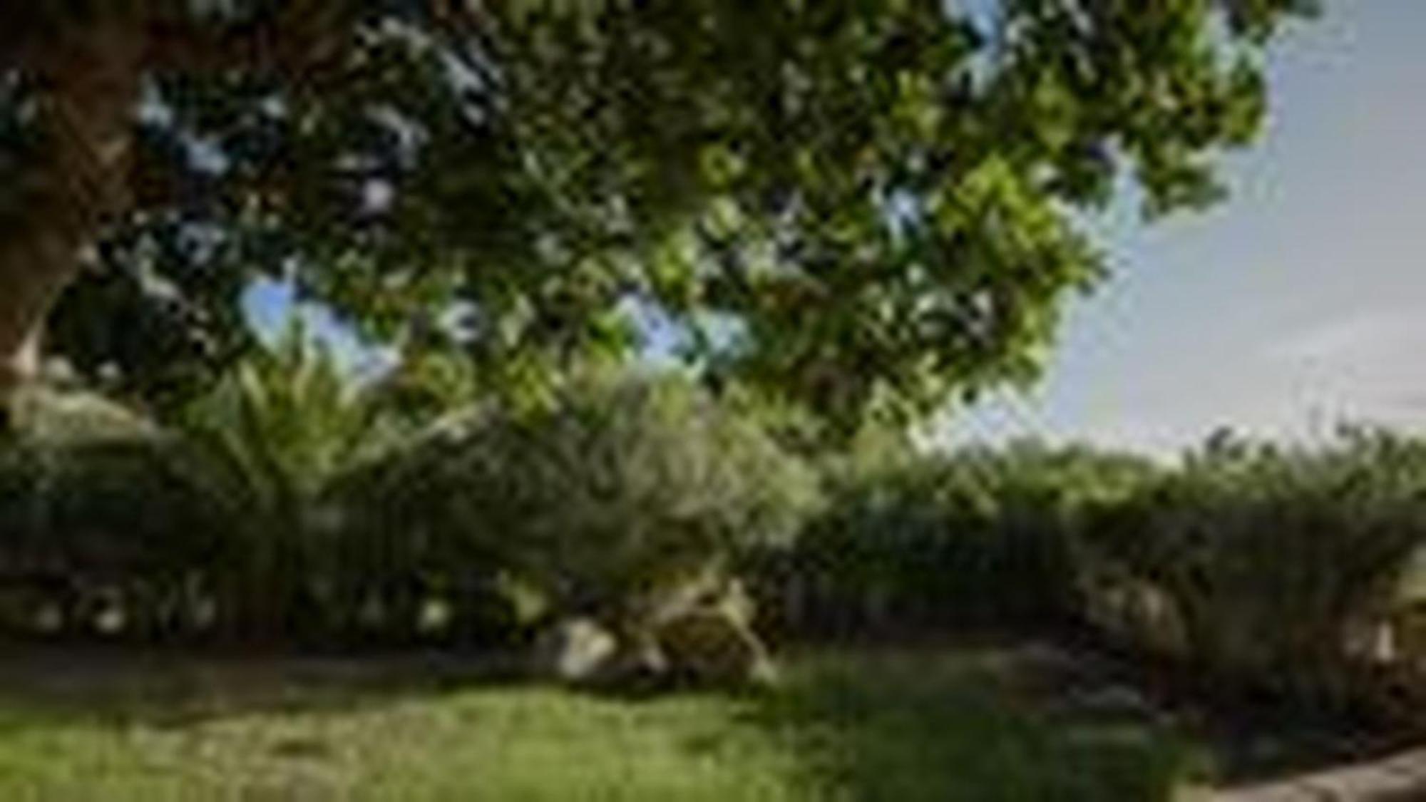Welcomely - Villa Adele Costa Rei Exterior foto